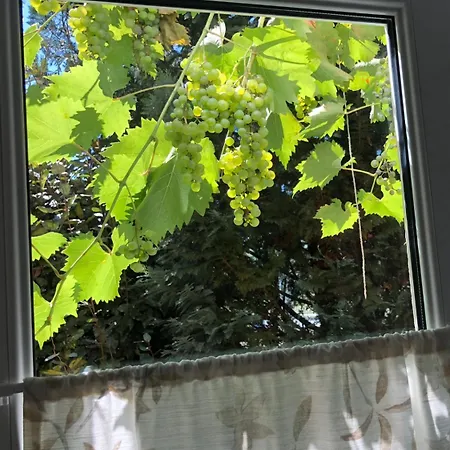 Apartment Mosel-erker Reil