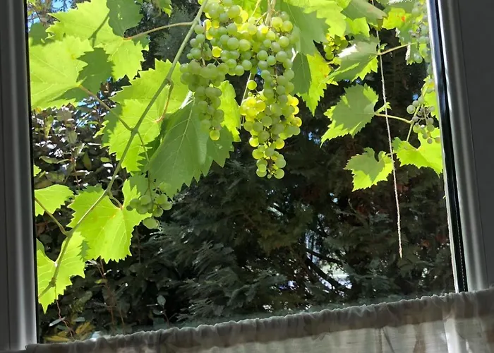 Appartamento Mosel-erker Reil